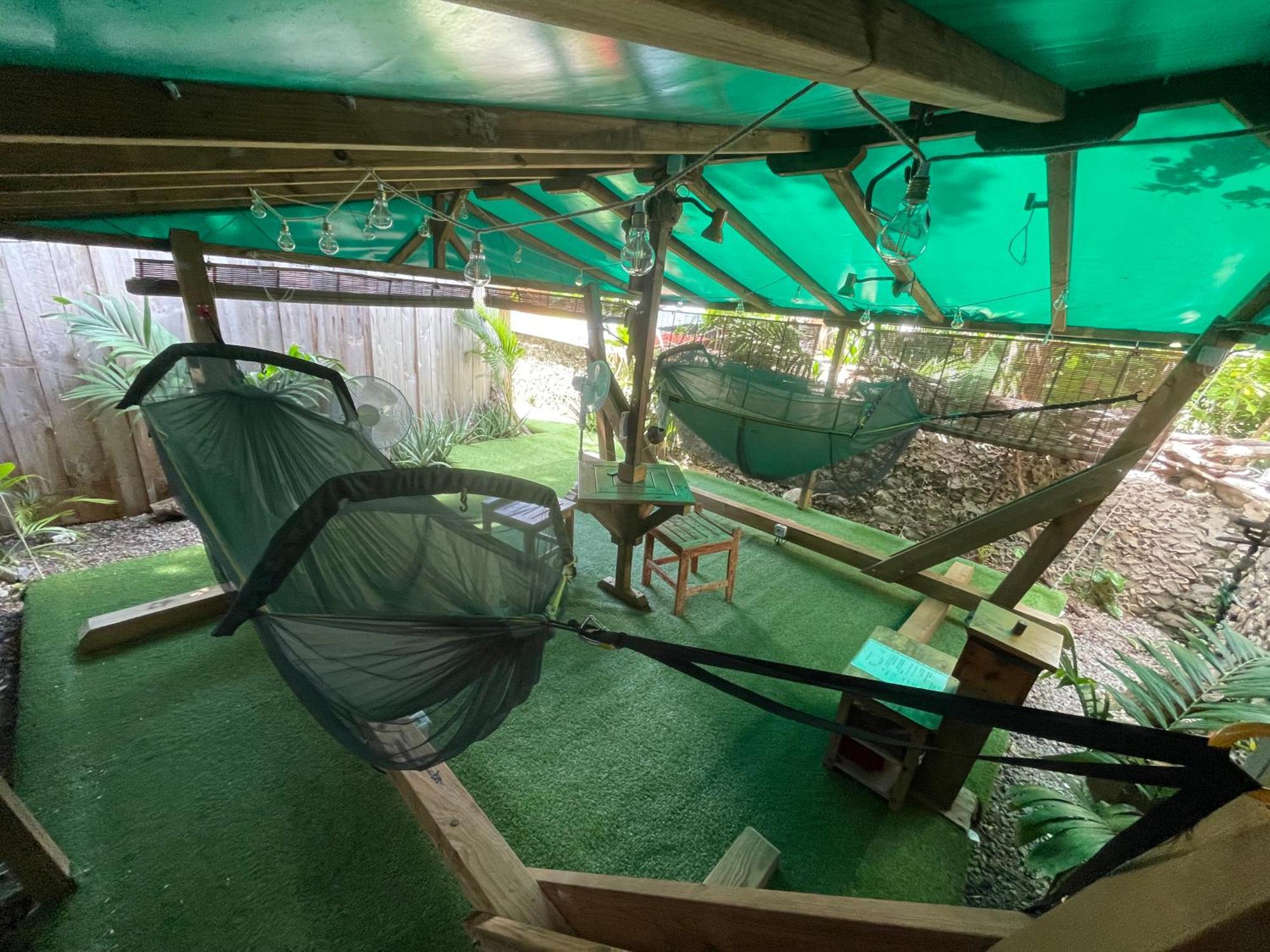 Les Hamacs Aux Saintes Hotel Terre-De-Haut Kültér fotó